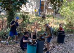 piantano 9 alberi nel giardino della scuola ENGIM Verona
